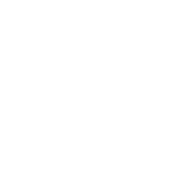 100% Ayurvedic & Natural Formula